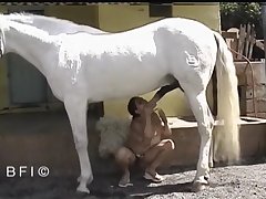 A Horse Cum Connection 12